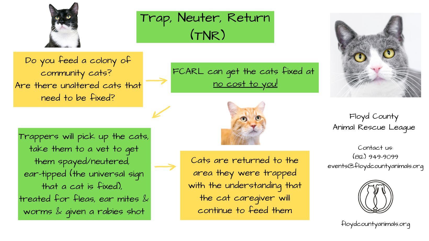 Community Cats and TNR